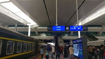 厦门四天三夜