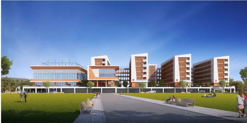 教育升级 岛内单体办学规模最大学校明年交付使用